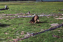 Dad's photos from 1974