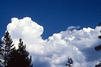 Dad's photos from 1974