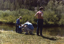 Doug & Kathy's Photos