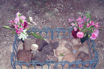 Jim & Linda's photos