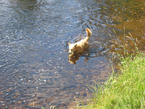 Photos from Sue Lind